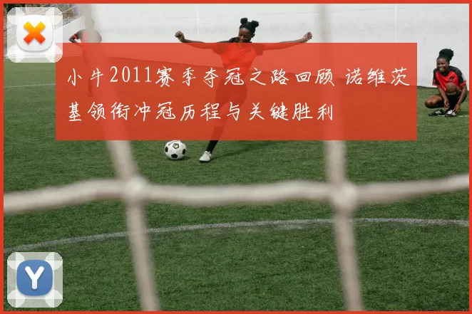 小牛2011赛季夺冠之路回顾 诺维茨基领衔冲冠历程与关键胜利