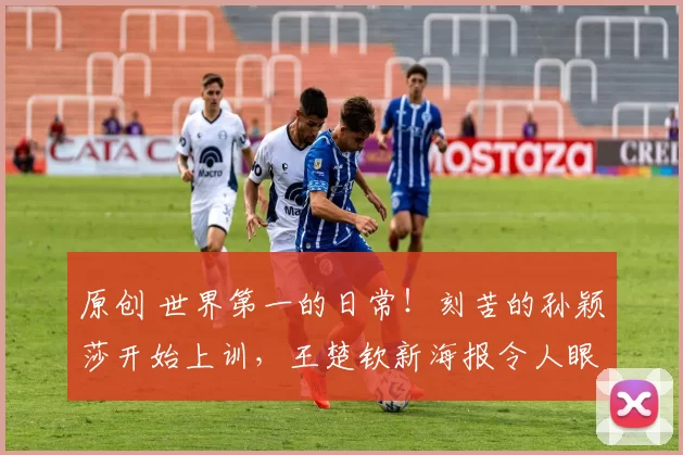 原创 世界第一的日常！刻苦的孙颖莎开始上训，王楚钦新海报令人眼前一亮