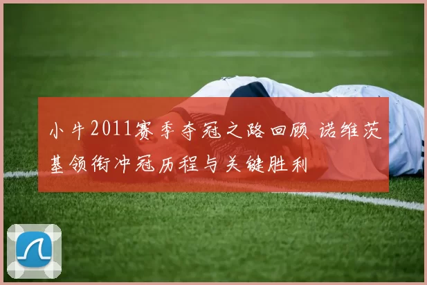 小牛2011赛季夺冠之路回顾 诺维茨基领衔冲冠历程与关键胜利
